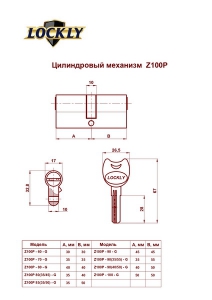 Цилиндр. мех. Z100P-100-G  5-перфо. кл./кл (72/12)