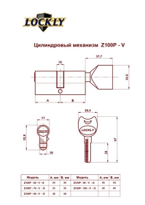 Цилиндр. мех. Z100P-100-V-G  5-перфо. кл./ верт. (72/12)